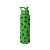 Summit Water Bottle with Straw Lid