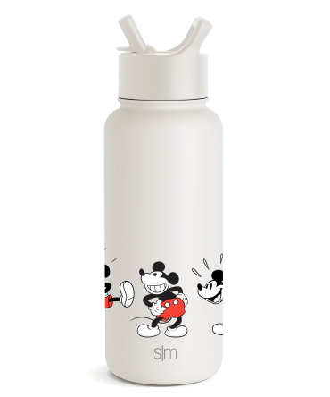 Disney Summit Water Bottle with Straw Lid