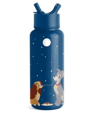 Disney Summit Water Bottle with Straw Lid