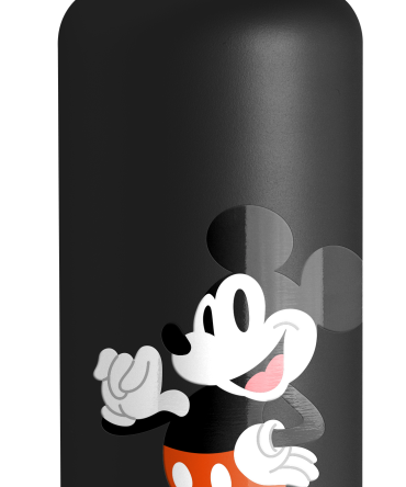 Disney Summit Water Bottle with Straw Lid