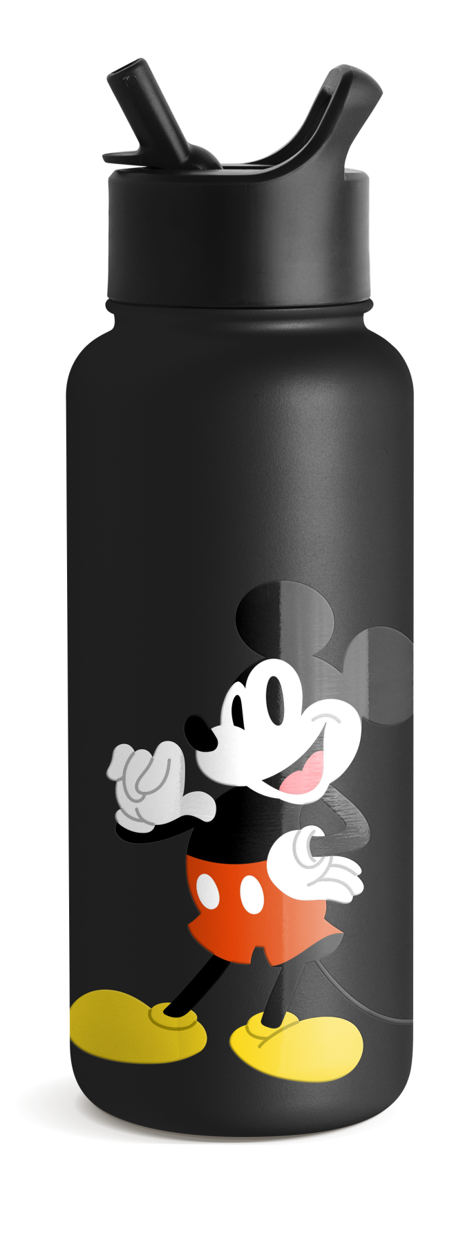 Disney Summit Water Bottle with Straw Lid