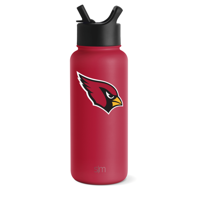 NFL Summit Insulated Water Bottle with Straw Lid