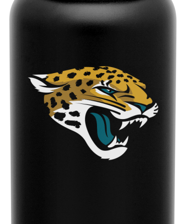 NFL Summit Insulated Water Bottle with Straw Lid